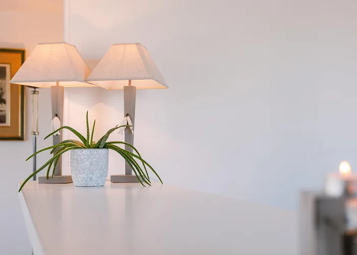 公寓 Huswell - Spacious & Modern Sea View With Garage 奥斯滕德